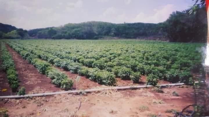 10 de 12