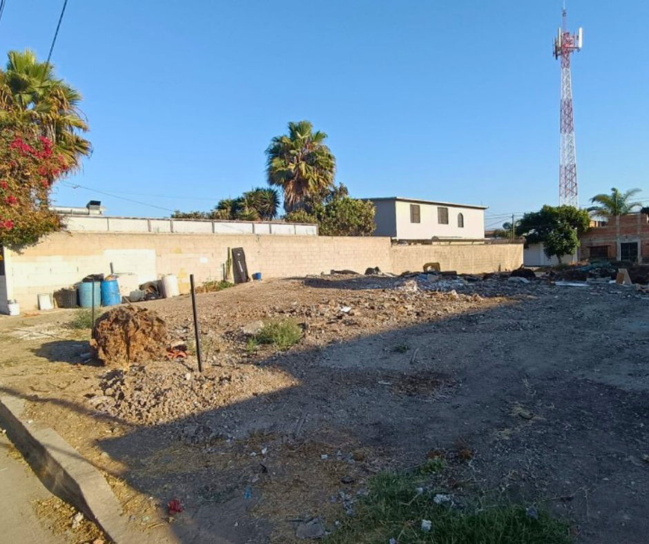 3 de 8