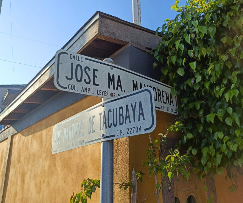 8 de 8