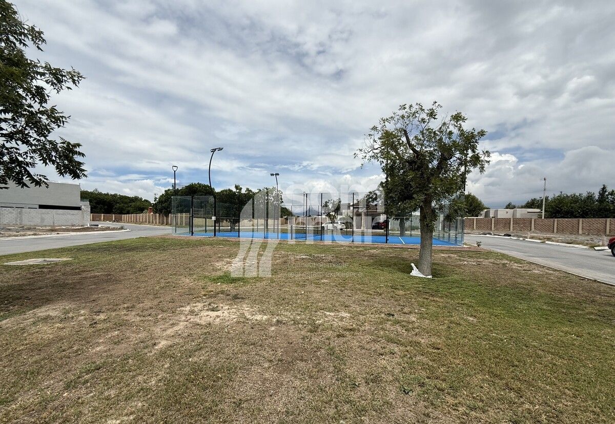 4 de 4