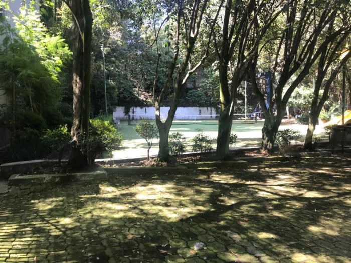 5 de 19