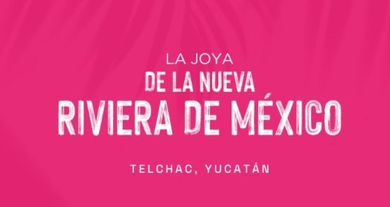 1 de 15