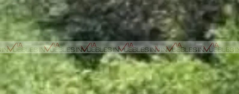 3 de 8