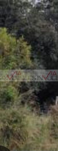Imagen 2 de 8