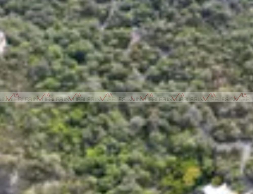 Imagen 7 de 8