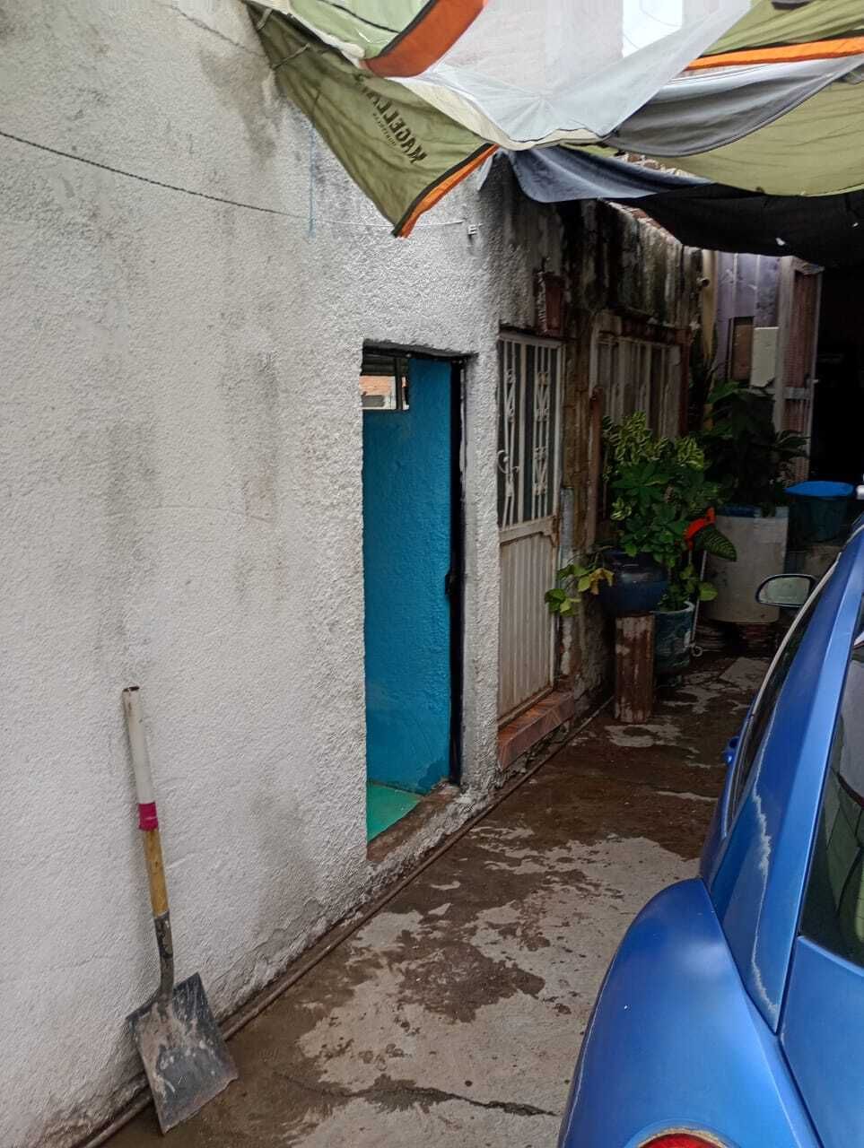 6 de 12