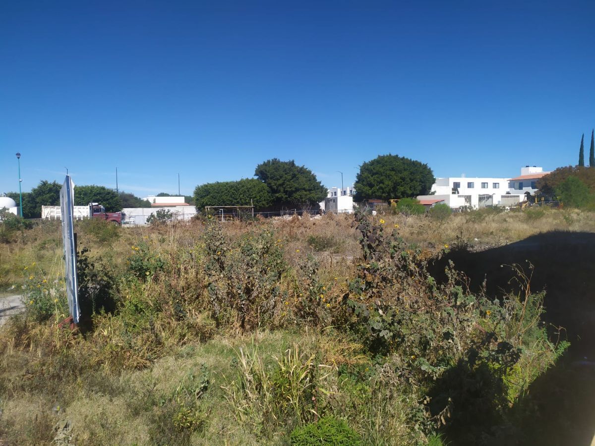 3 de 15