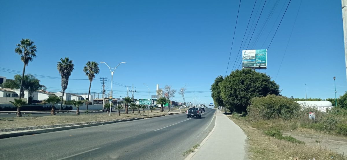 6 de 15