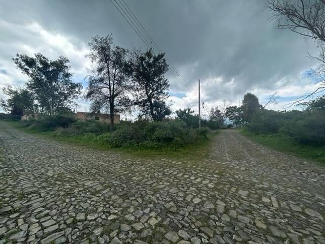 4 de 6