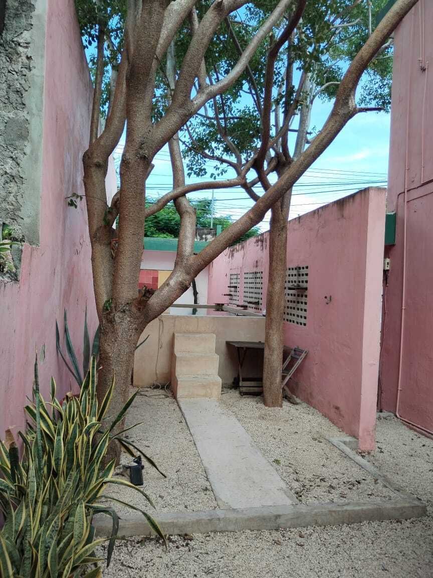 4 de 19
