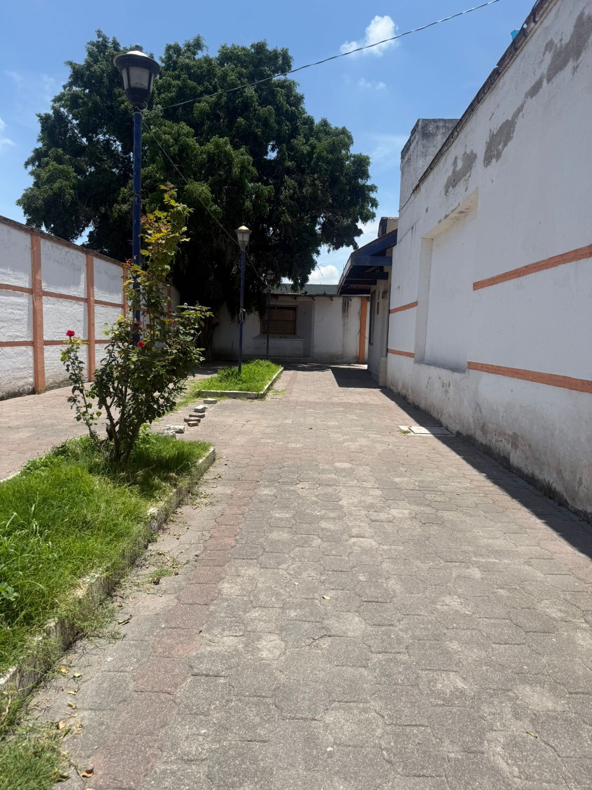26 de 32