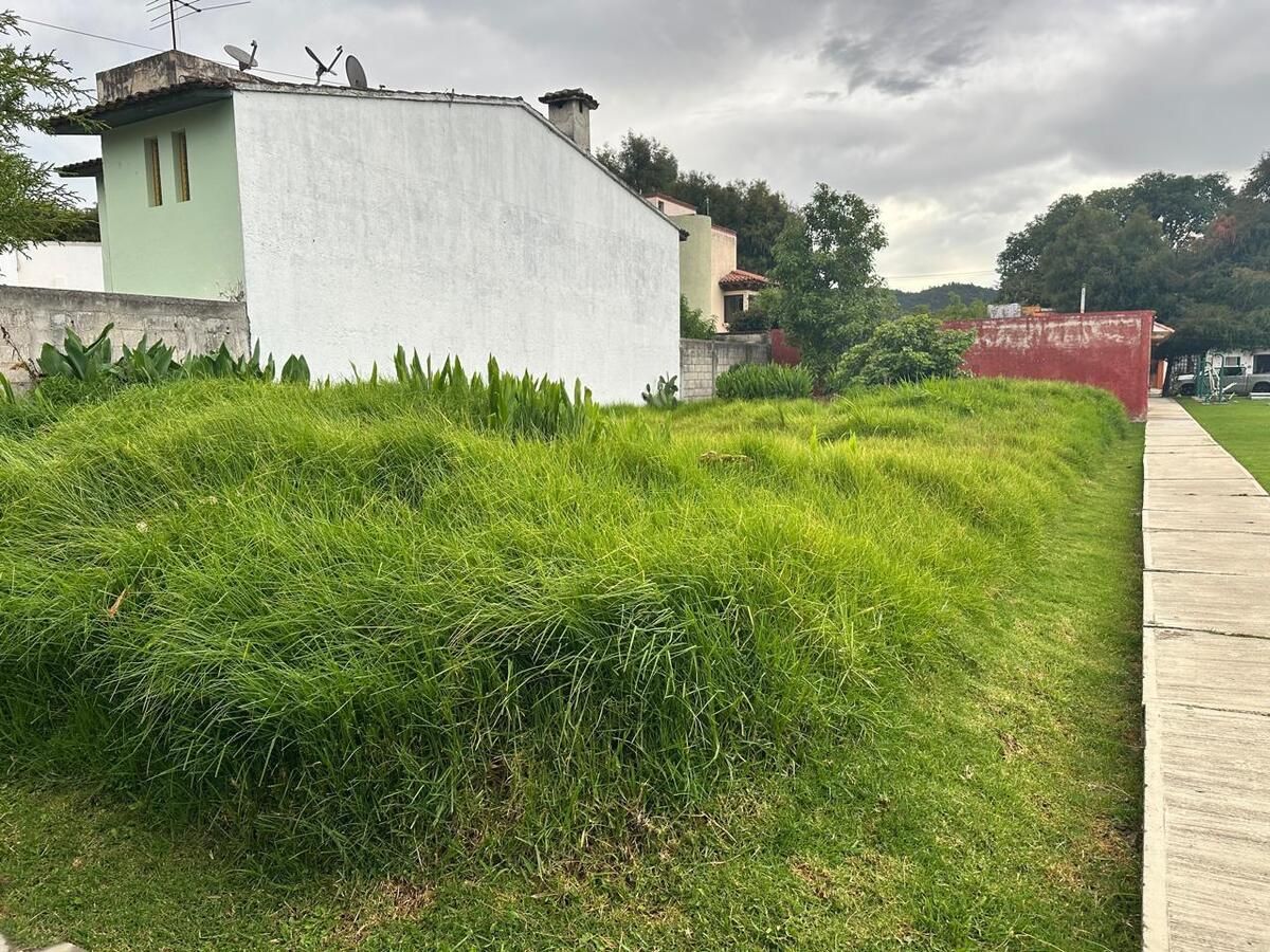 3 de 6