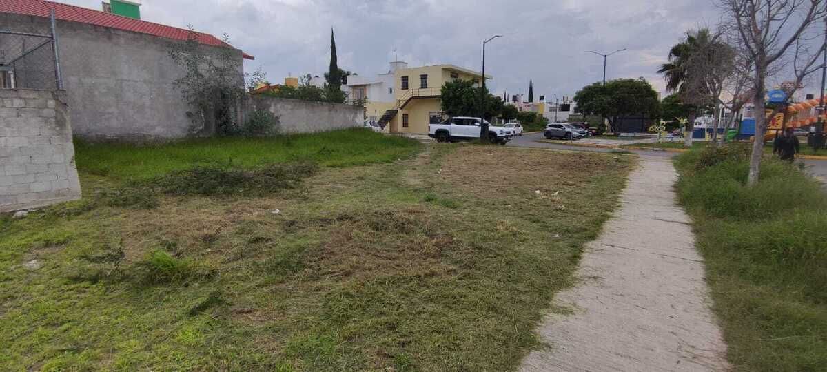 3 de 10