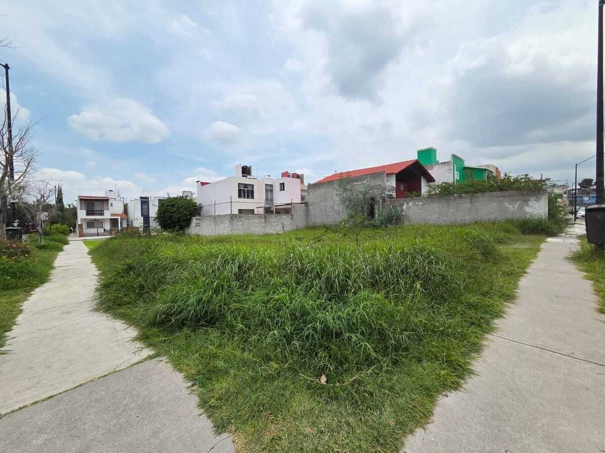 10 de 10