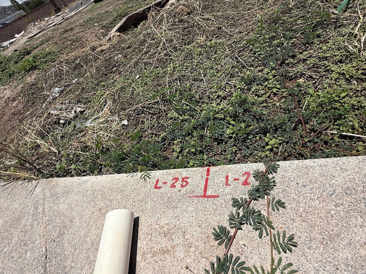 4 de 19