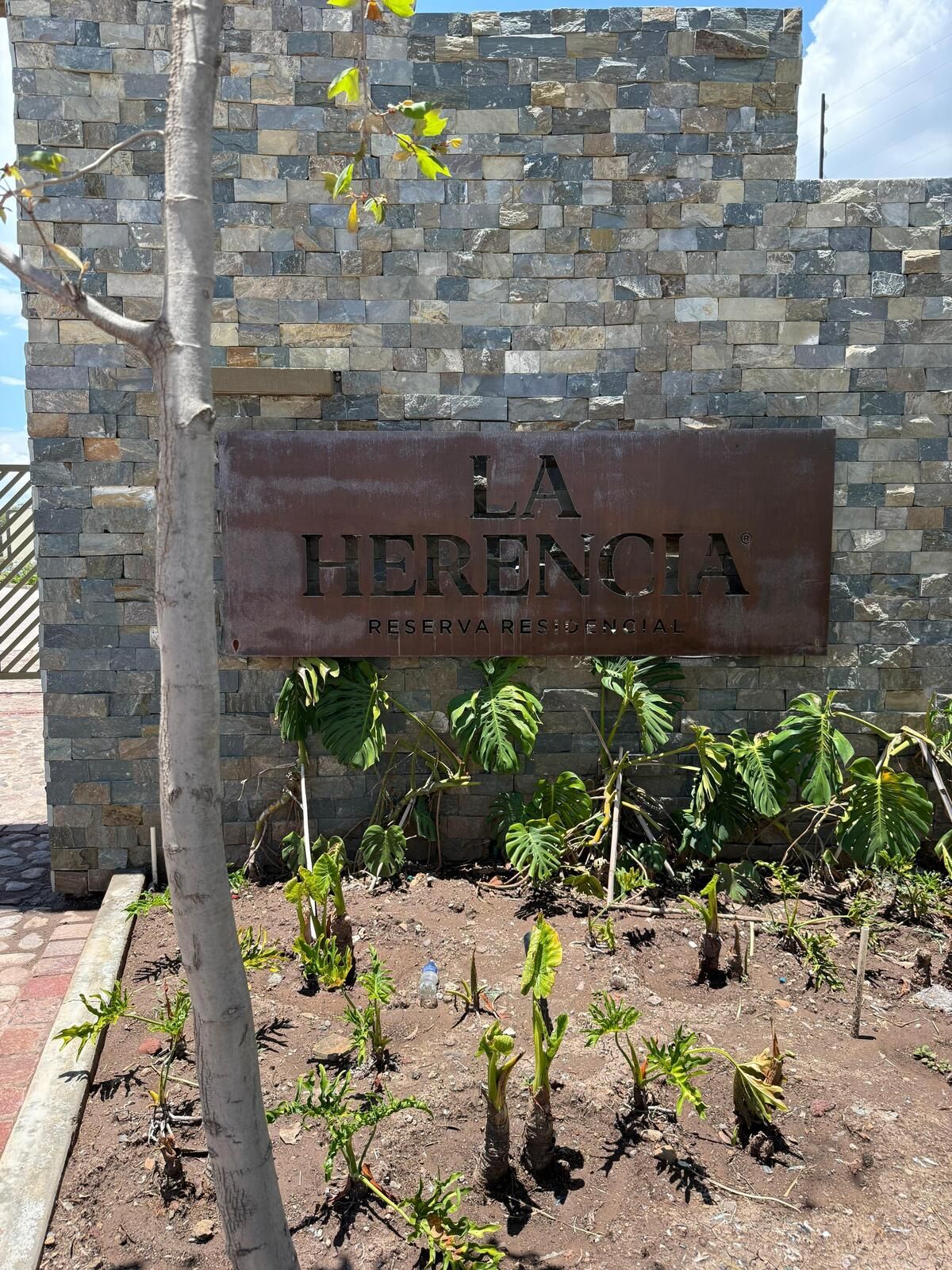 1 de 19