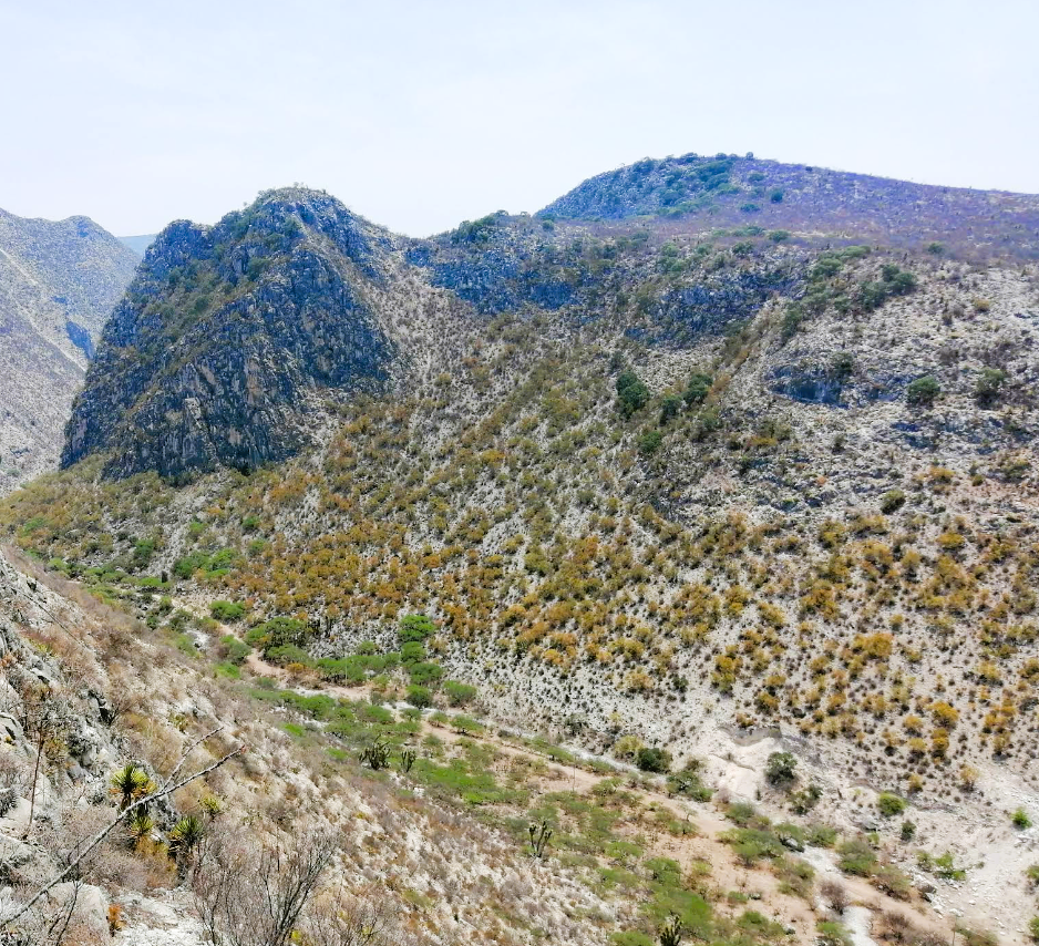 1 de 12: Alto potencial de explotación