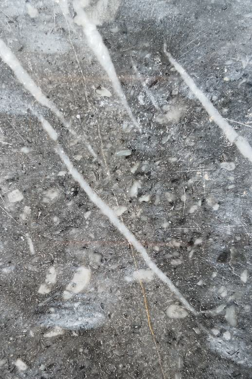 10 de 12: Gris Rayado