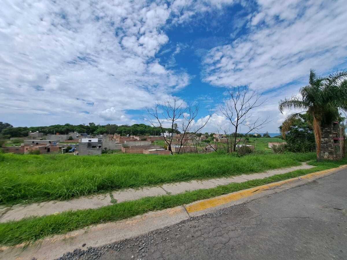5 de 8: ACERA DE ENFRENTE