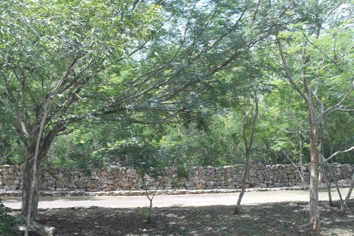 AllProperty - Terreno en Venta, Privada Puerta Mayab, Chablekal