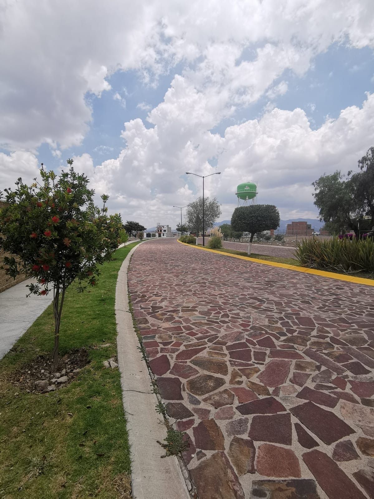 5 de 12