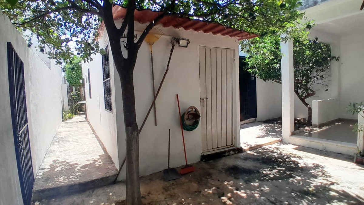 5 de 17