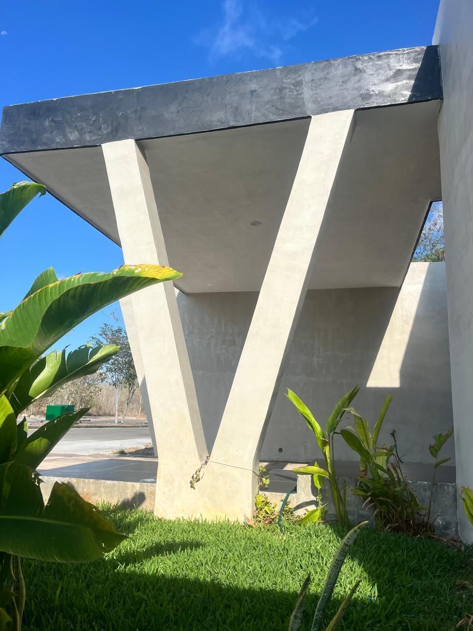 8 de 37