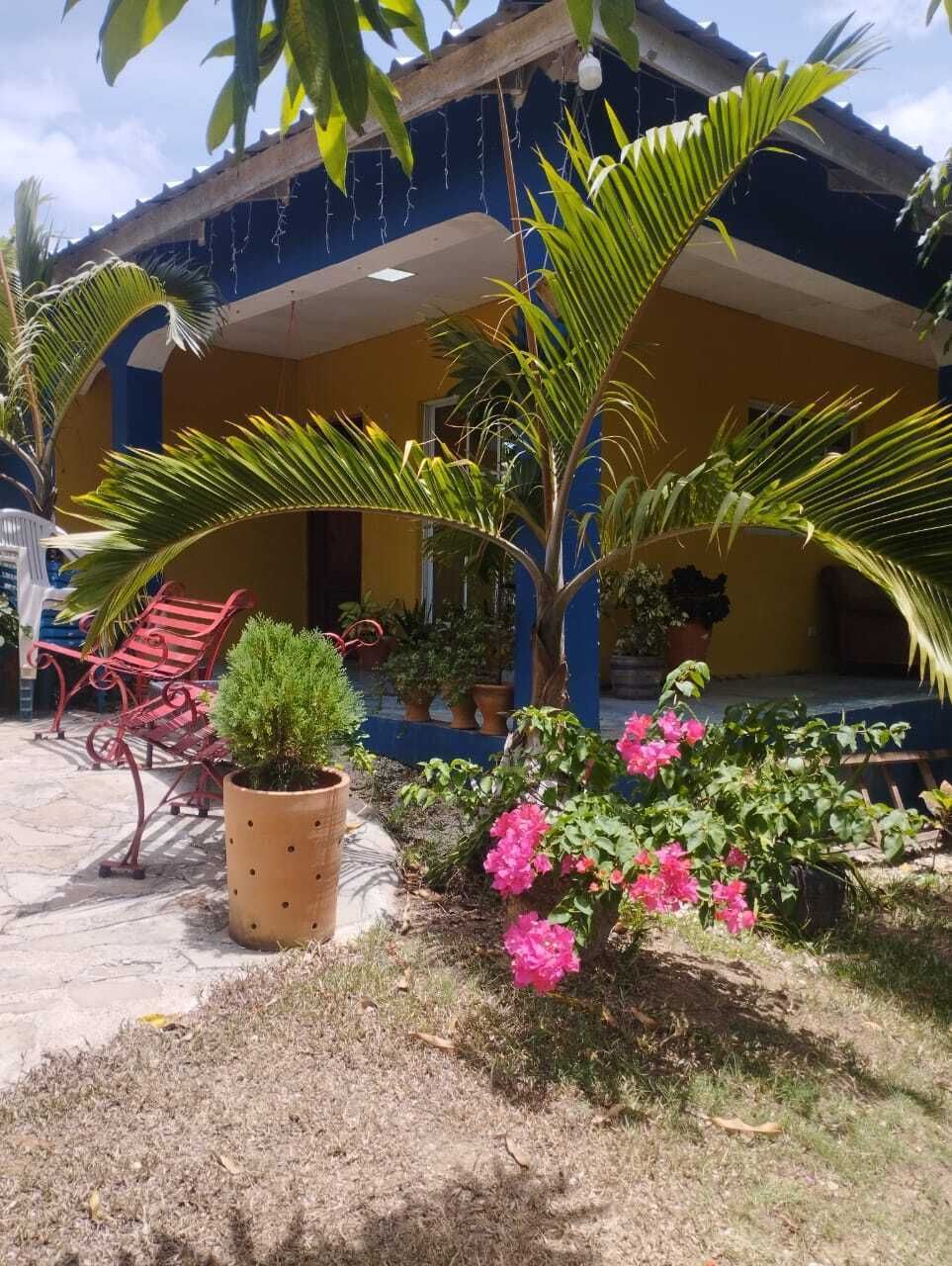 2 de 20