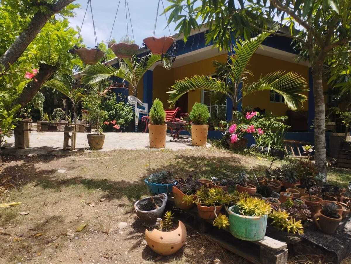 3 de 20