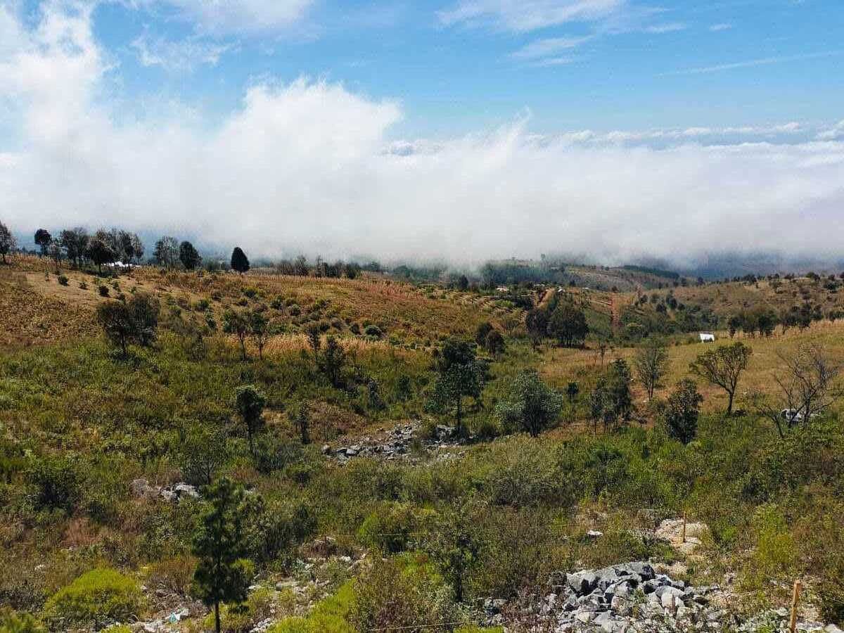 Terreno rustico sobre Carretera San Cristóbal-Tuxtla
