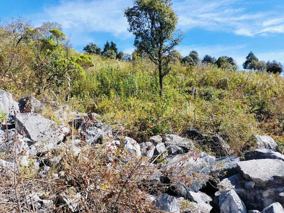 Terreno rustico sobre Carretera San Cristóbal-Tuxtla