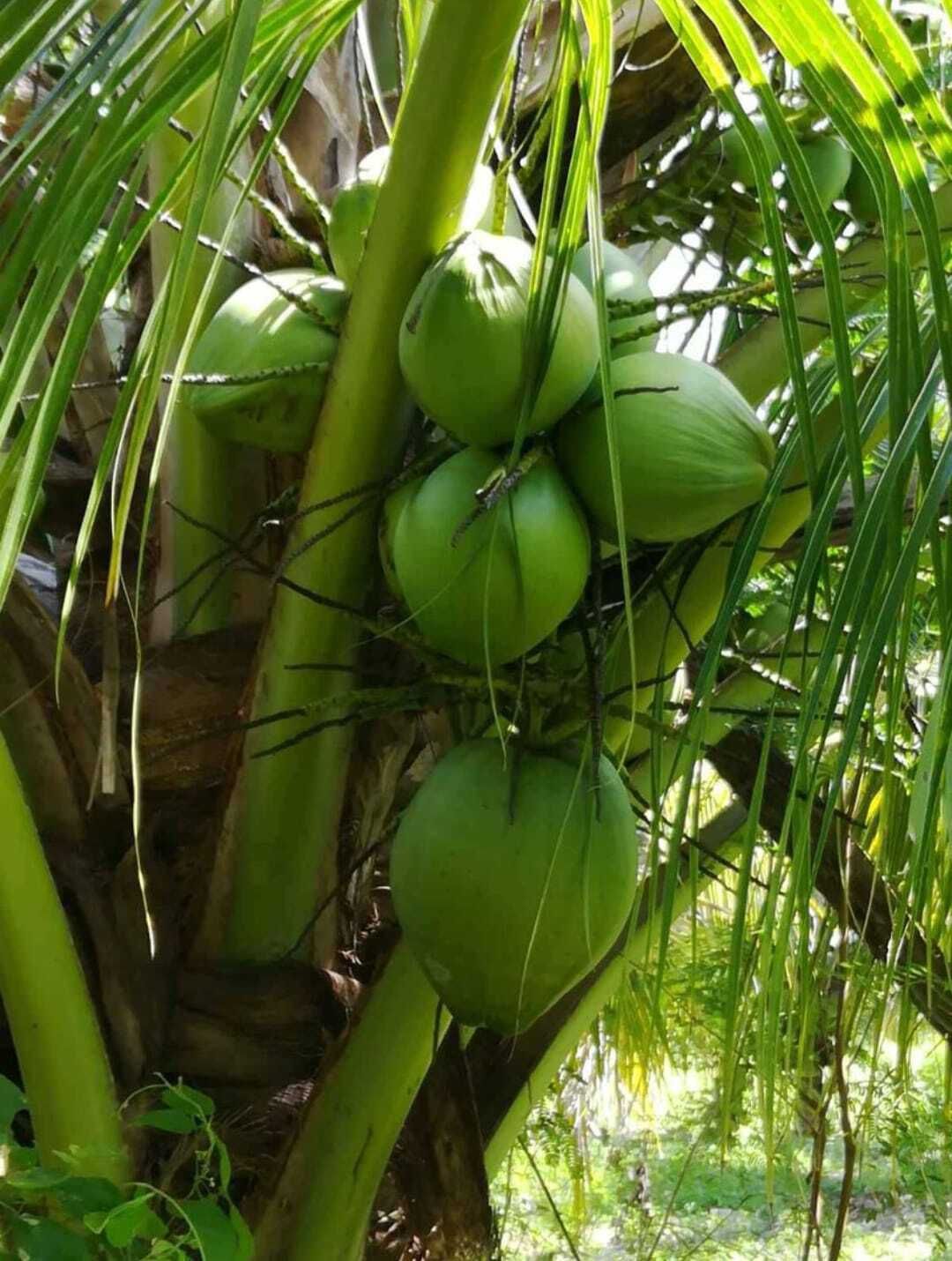 5 de 13