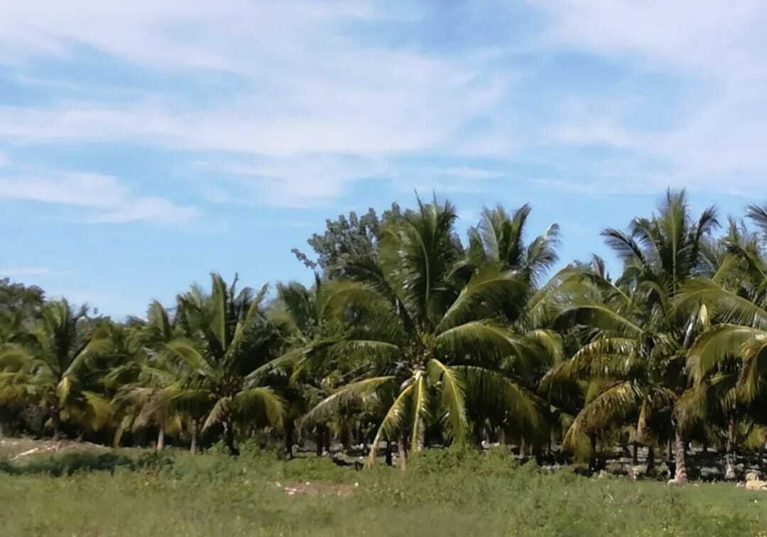 3 de 13