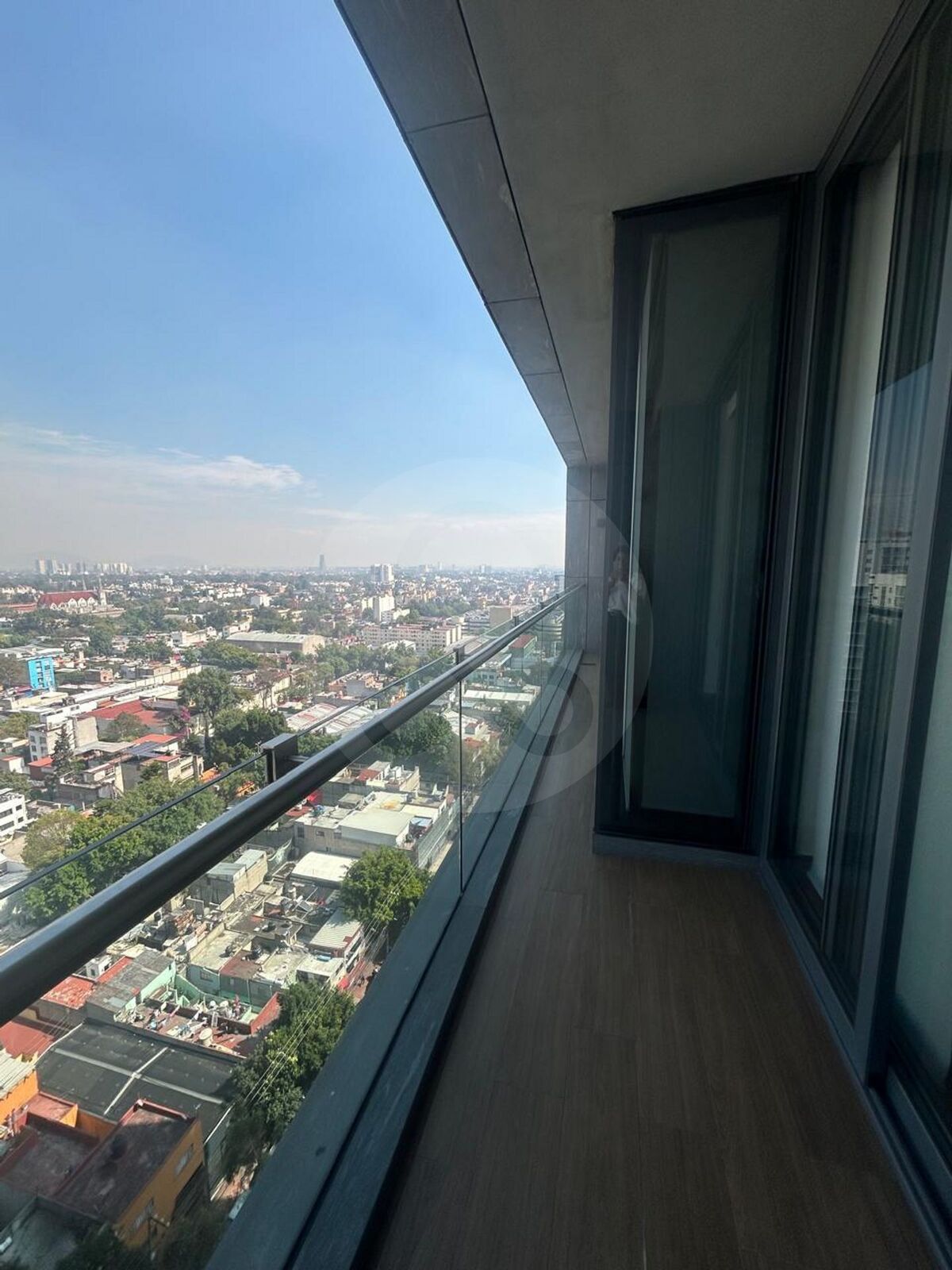 6 de 19