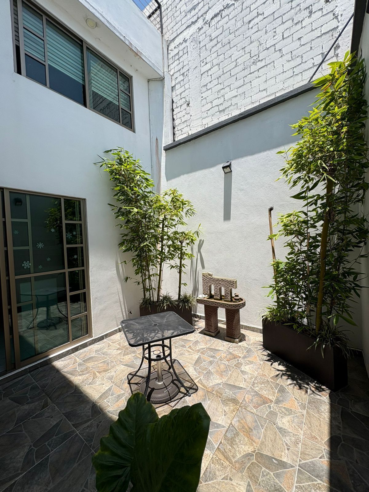 9 de 21: Patio para momentos de tranquilidad y convivencia