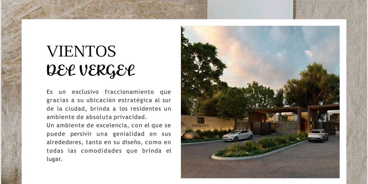 3 de 6