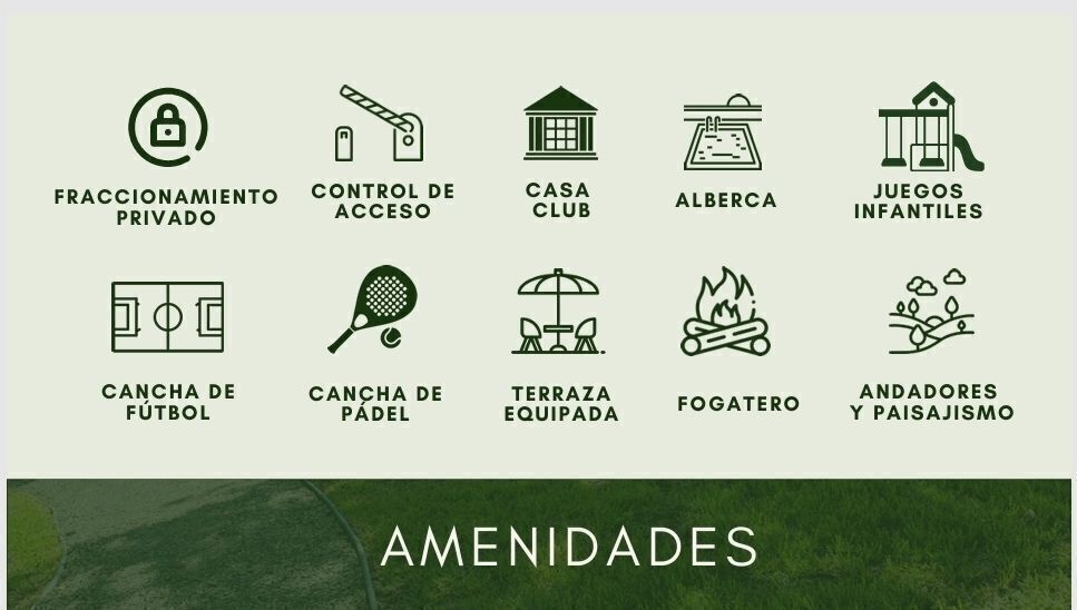 2 de 12