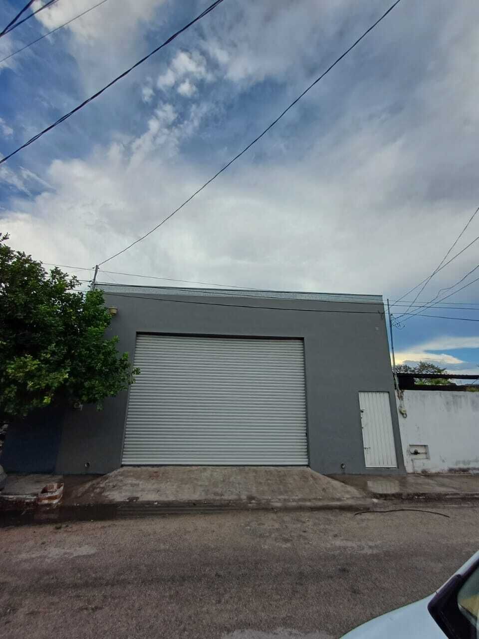 1 de 11