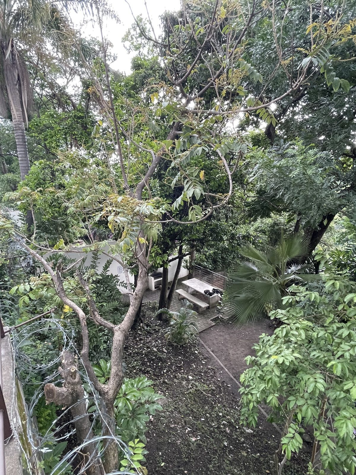 6 of 44