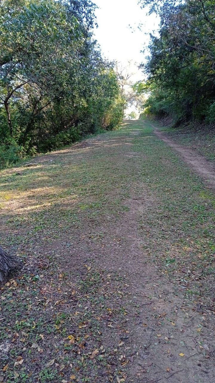 4 de 8