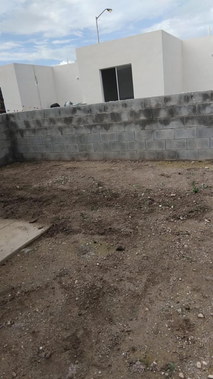 3 de 6
