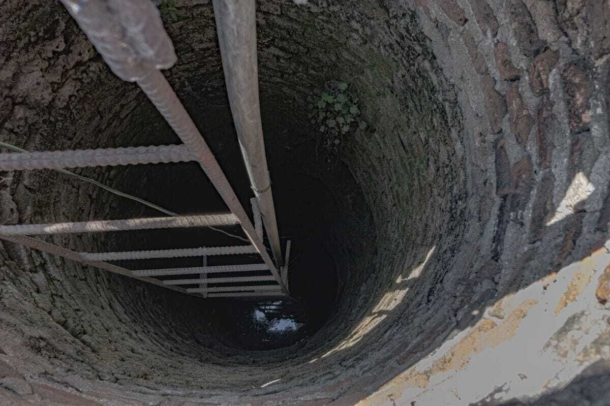3 de 6