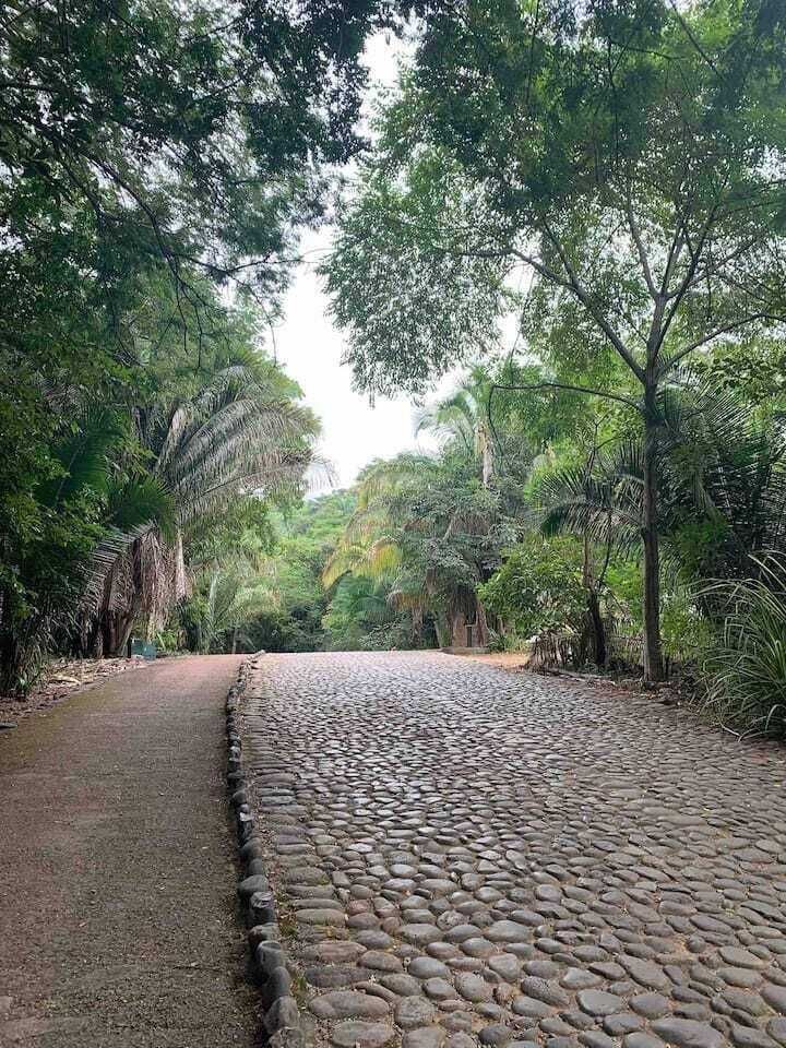 3 de 32