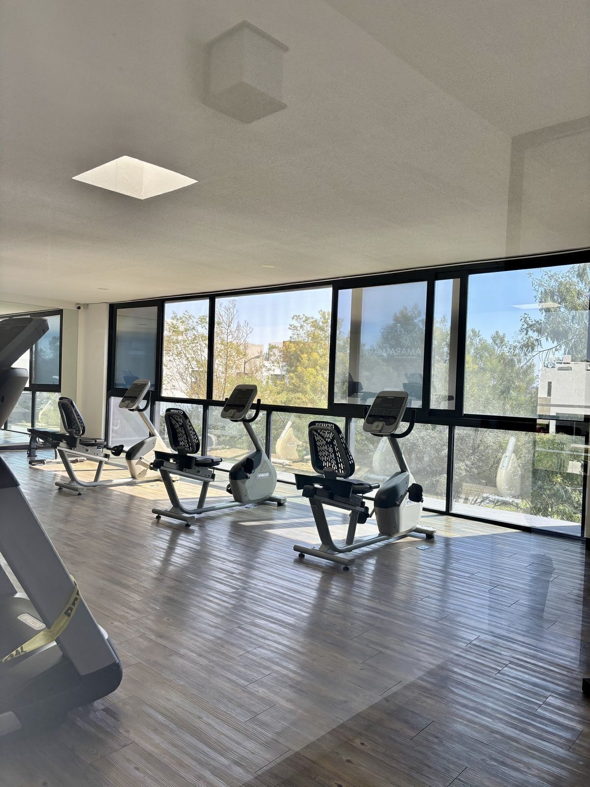 35 de 41: Gimnasio