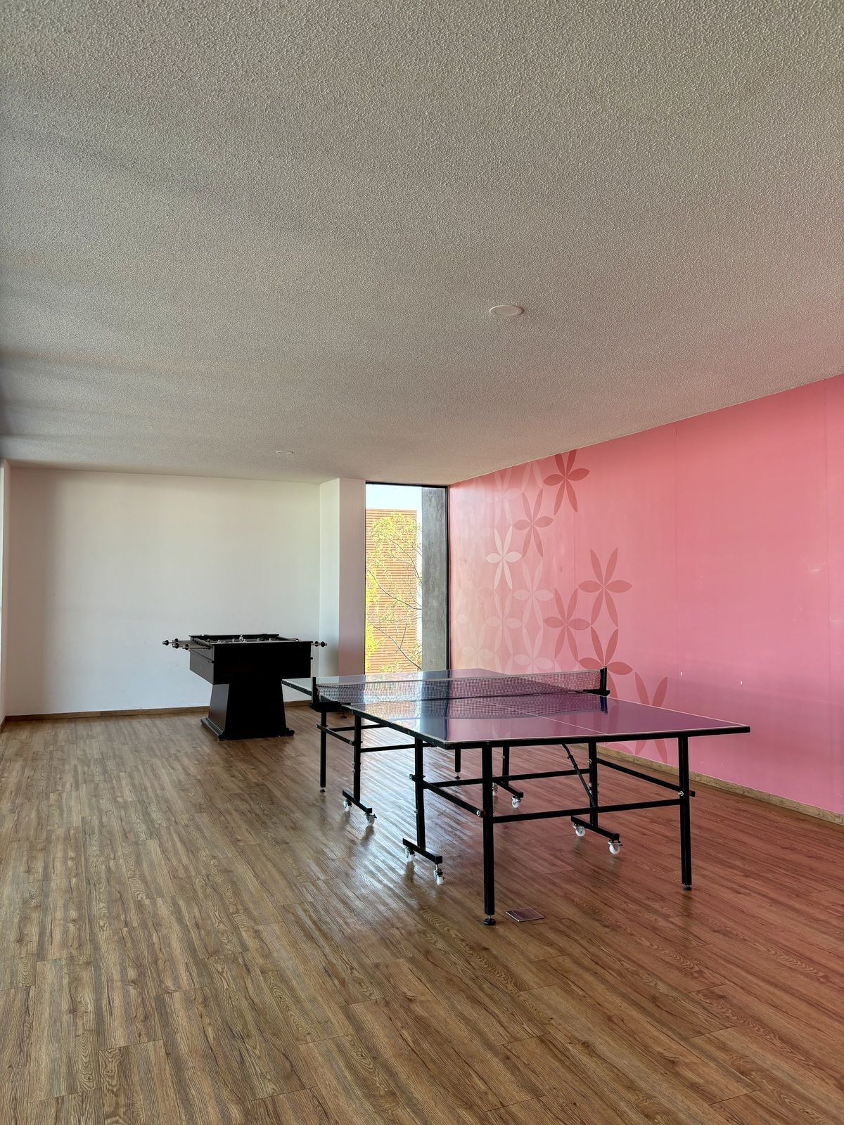 39 de 41: Salón de pin pong
