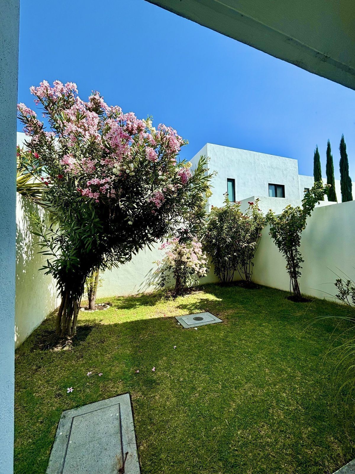8 de 41: Patio con jardín amplio.