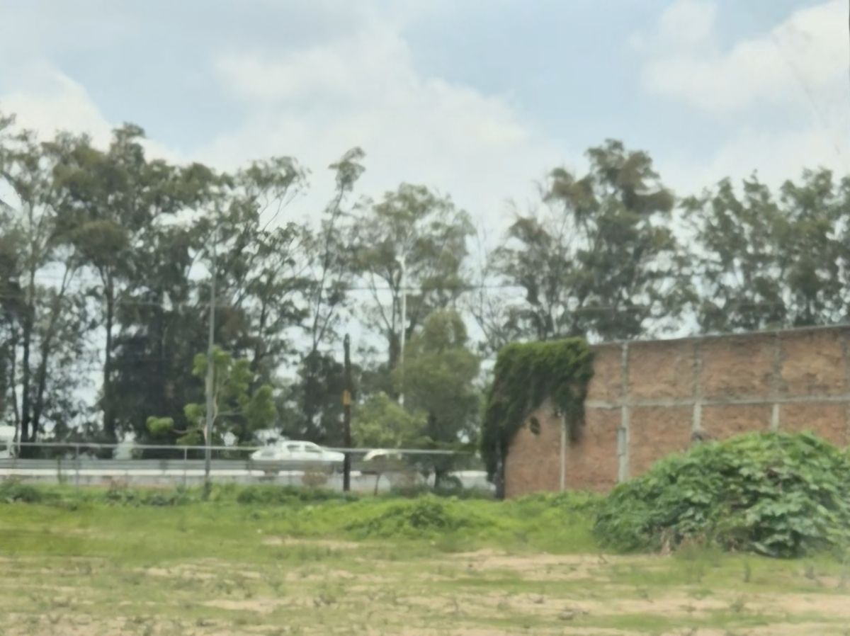 3 de 8