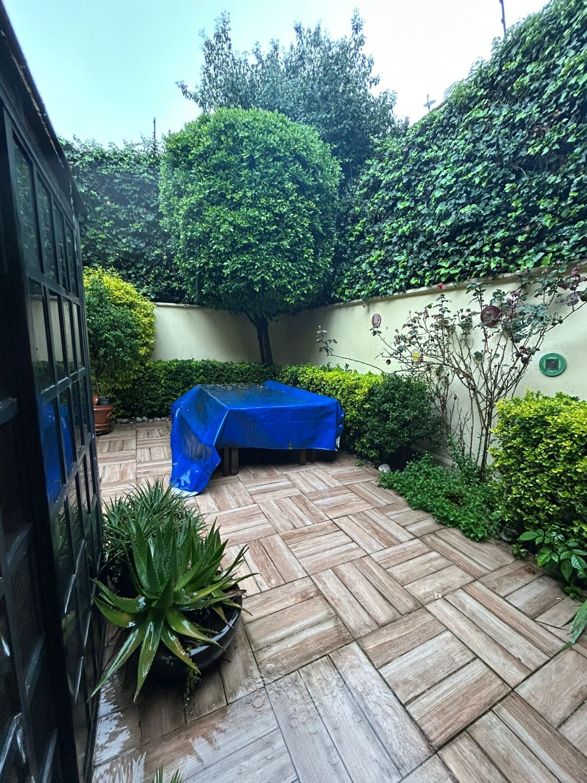 14 de 14