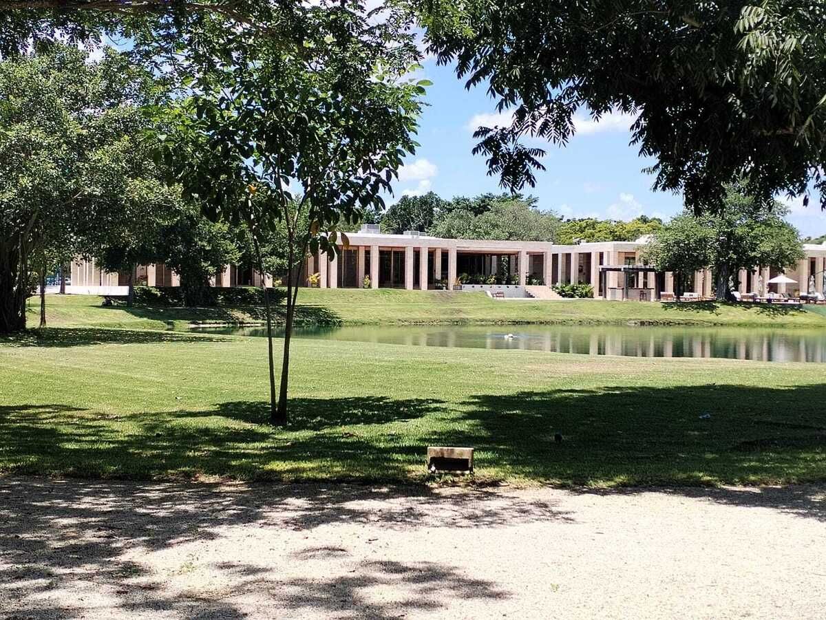 31 de 32