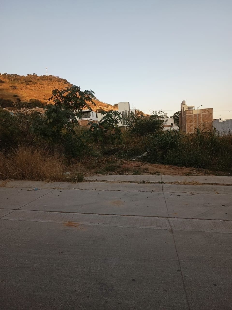 1 de 10